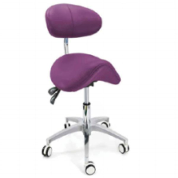 Dentist & Assistant Stools